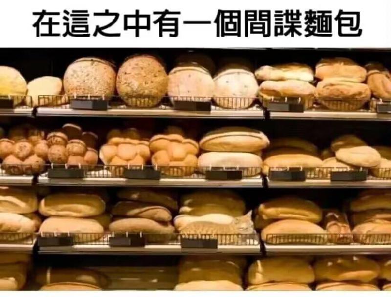 Featured image of post 如何修改Unity加载的Package