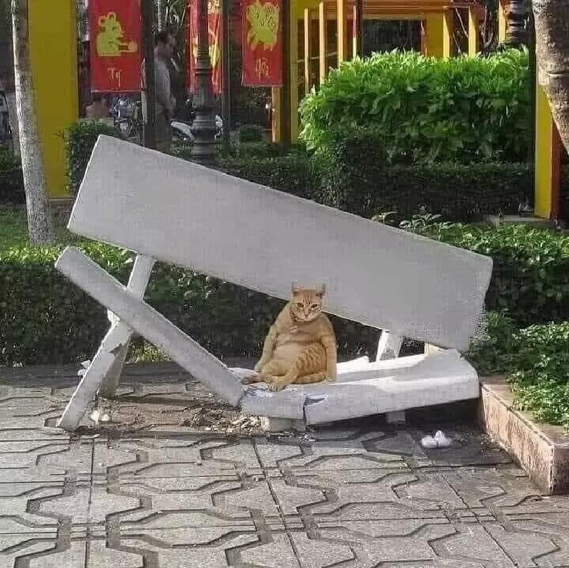 Featured image of post 代码整洁之道